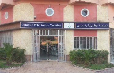 Clinique vétérinaire Yasmine Marrakech
